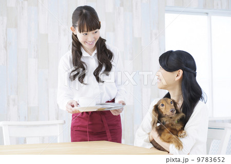 ペットイメージ 9783652