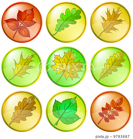 Leaves buttons, set 9783687