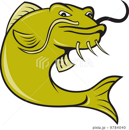 Angry Cartoon Catfish Fish Angry Cartoon Catfish Fish 9784040