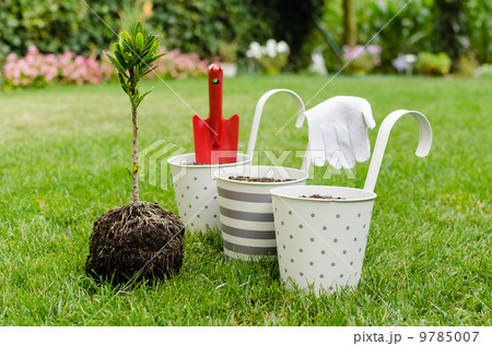 Planting tree in blooming garden Planting tree in blooming garden 9785007