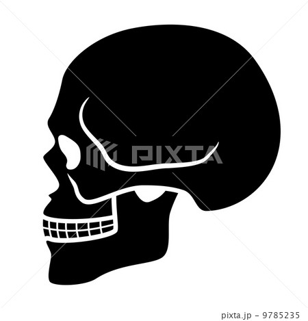 human skull symbol - side view 9785235