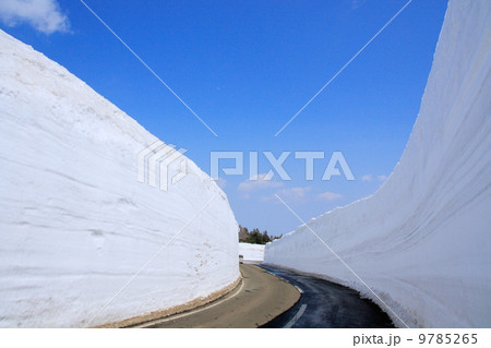 八甲田の雪の回廊 9785265