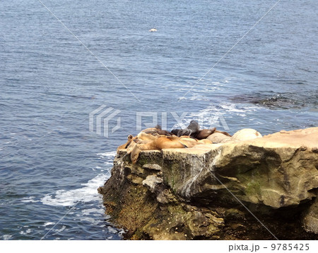 ラ・ホヤ 9785425