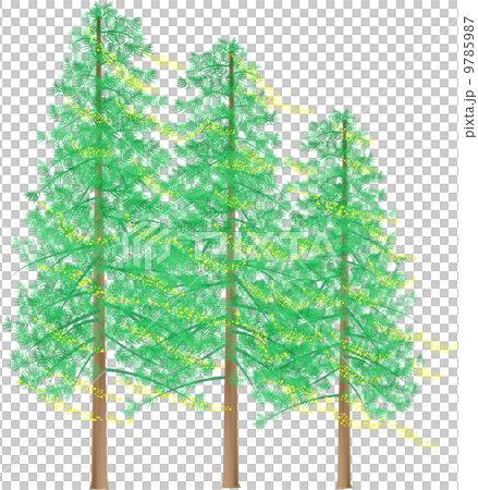 杉花粉のイラスト素材