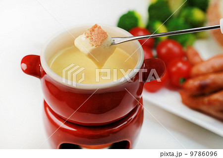 チーズフォンデュ 9786096