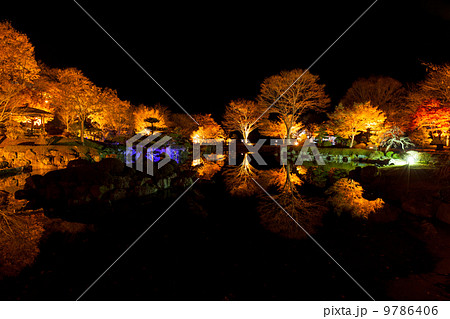 紅葉ライトアップ 紅葉ライトアップ 9786406
