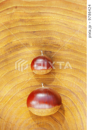 秋の味覚・栗／栗の木の切り株の上で 9786424