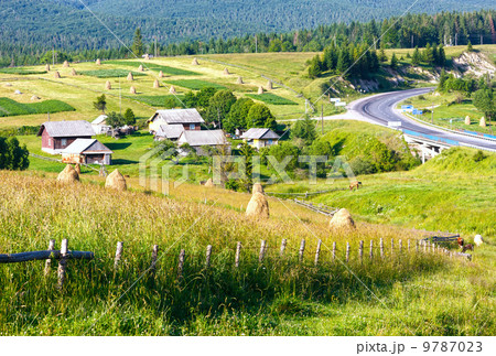 Summer mountain rural view with haystacks (Carpathian, Ukraine) 9787023