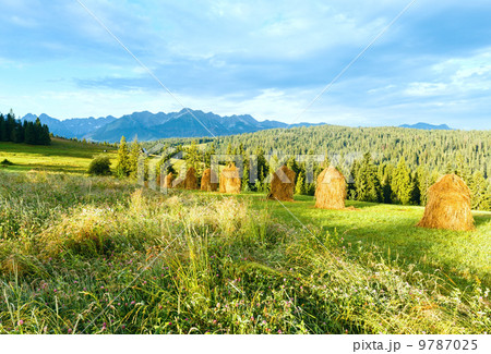 Summer mountain country view 9787025