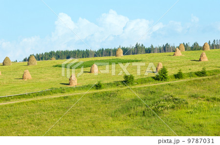 Summer mountain rural view with haystacks (Carpathian, Ukraine) 9787031