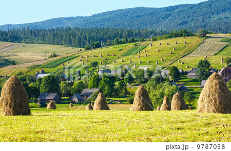 Summer mountain rural view with haystacks (Carpathian, Ukraine) 9787038