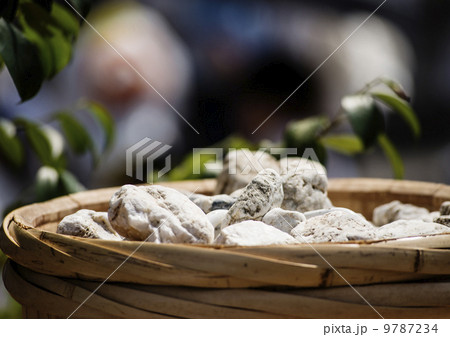 お白石 パワーストーン 遷宮行事 伊勢神宮 御正殿の敷石 イメージ素材 お白石 パワーストーン 遷宮行事 伊勢神宮 御正殿の敷石 イメージ素材 9787234