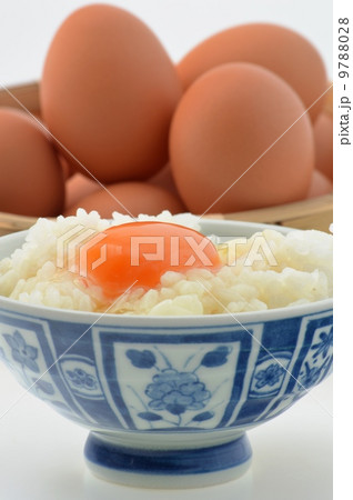 卵かけご飯 卵かけご飯 9788028