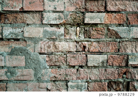 Old wall texture Old wall texture 9788229