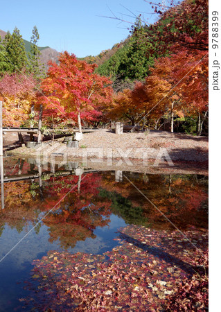寸又峡・草履石公園 9788399