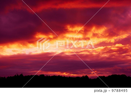 幻想的な空　A Fantastic Sky 9788495