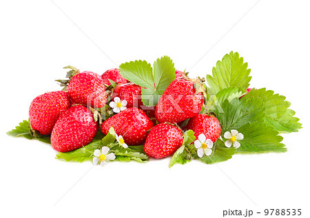 Ripe strawberries 9788535