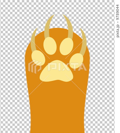 動物の爪のイラスト素材 [9789044] - PIXTA