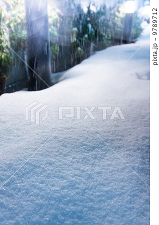 雪の夜 雪の夜 9789712