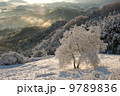 外秩父中間平の雪の朝の風景 9789836