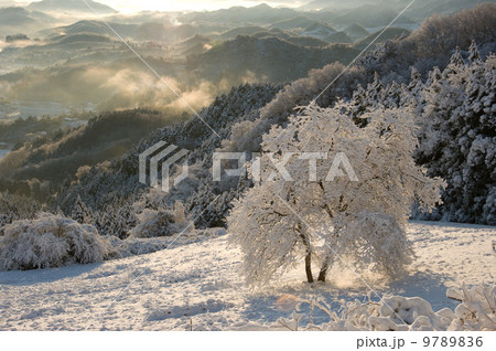 外秩父中間平の雪の朝の風景 外秩父中間平の雪の朝の風景 9789836