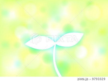 若葉イメージ 若葉イメージ 9791029