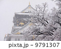 大阪城 9791307