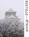 大阪城 9791308