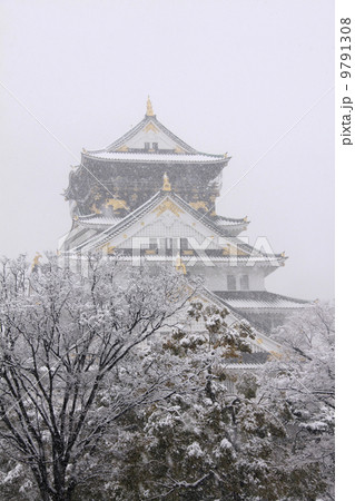 大阪城 9791308
