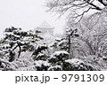 大阪城 9791309