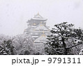 大阪城 9791311