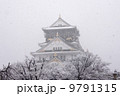 大阪城 9791315