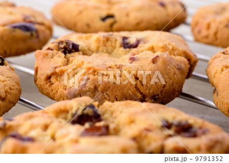 Fresh homemade cookies 9791352