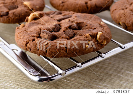 Fresh homemade chocolate cookies 9791357