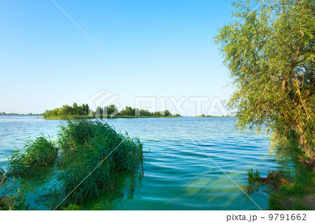 Summer rushy lake 9791662