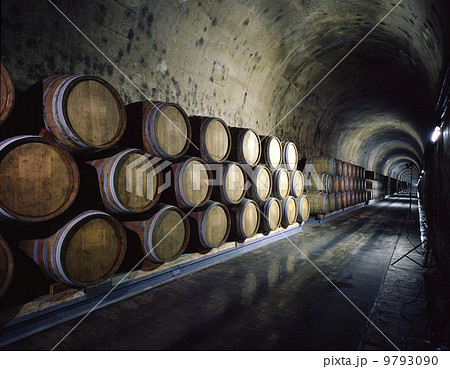 トンネルを使った酒蔵 トンネルを使った酒蔵 9793090