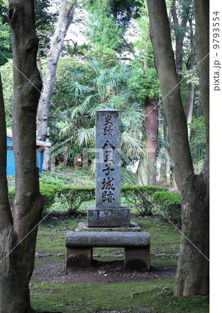 八王子城址 八王子城址 9793554