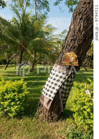 Traditional offerings at Bali 9794511