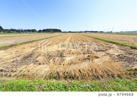 田園風景・稲刈り後の水田 9794668