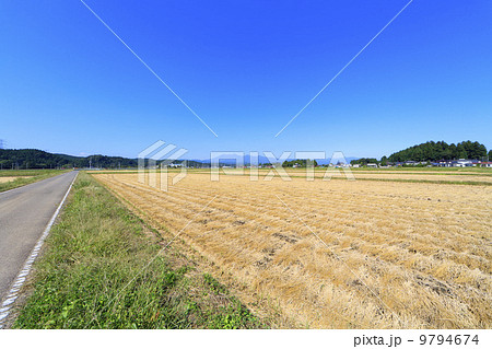 田園風景・稲刈り後の水田 田園風景・稲刈り後の水田 9794674