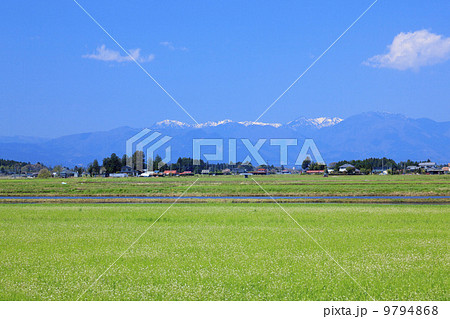 田園風景・田起こし前の水田 田園風景・田起こし前の水田 9794868