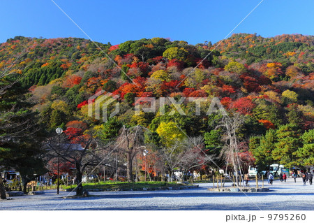 嵐山公園中之島地区からの紅葉 9795260