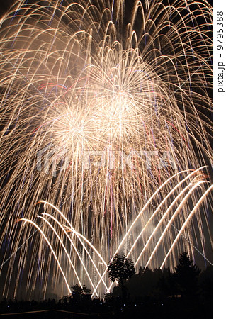 片貝の花火 9795388