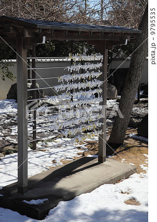 おみくじ 9795535