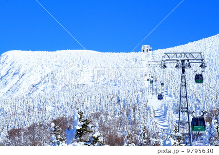 蔵王の樹氷 9795630