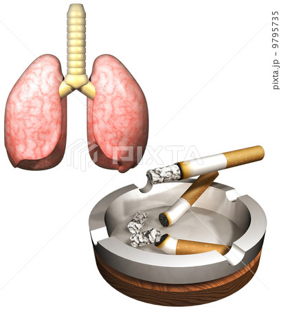 喫煙 9795735