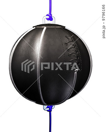 パンチングボール 9796166