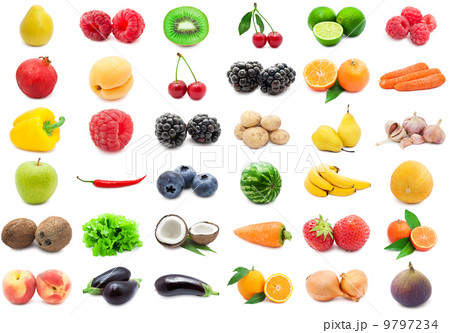 Fruits and Vegetables 9797234