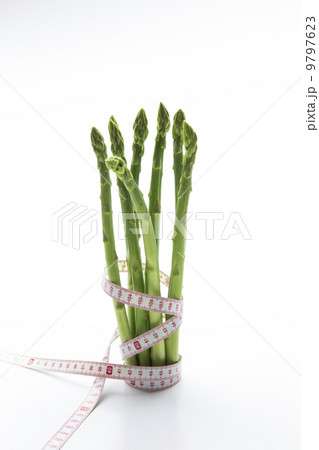 ダイエットイメージ　２ 9797623