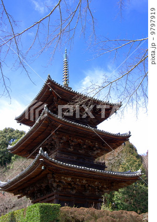 三井寺　三重塔 9797919